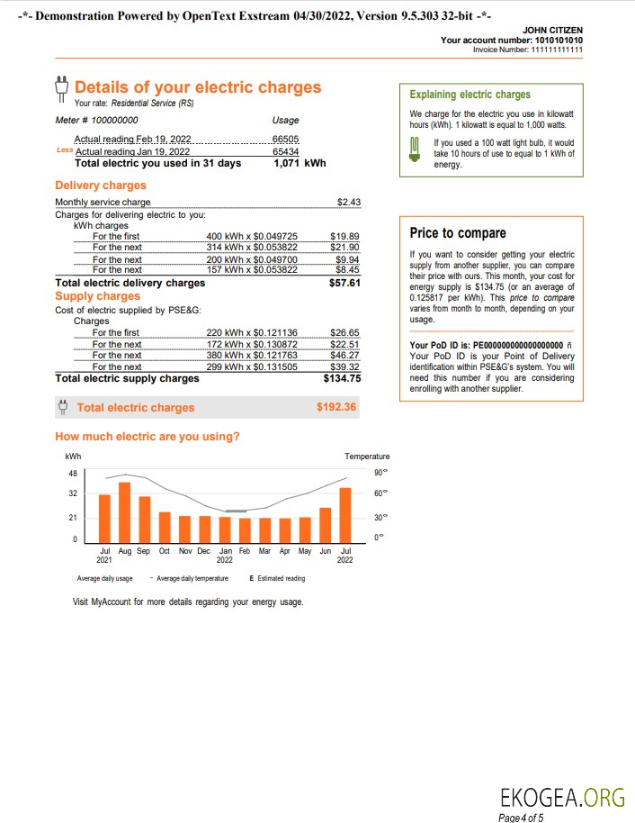 USA New York PSEG utility bill, Word and PDF template, 5 pages 4